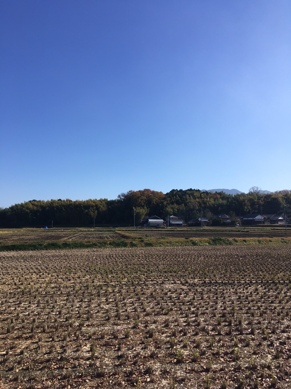 田んぼと畑を　身近に感じたい