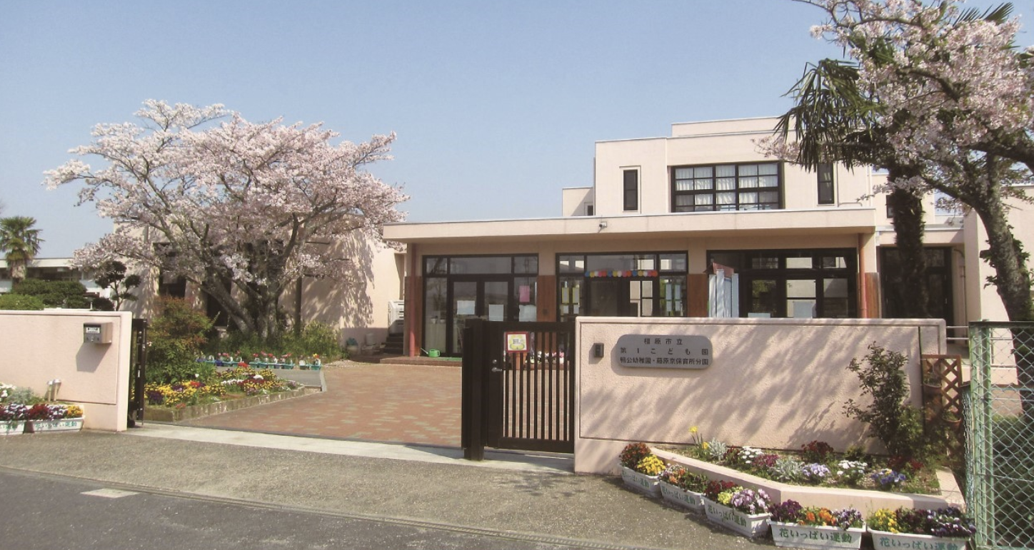 12月定例会のご報告　幼稚園の再編について